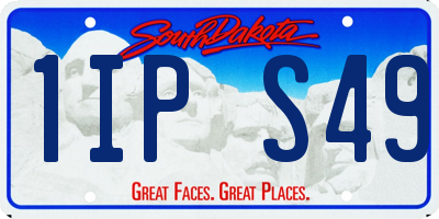 SD license plate 1IPS49