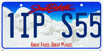 SD license plate 1IPS55