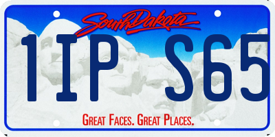 SD license plate 1IPS65