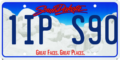 SD license plate 1IPS90