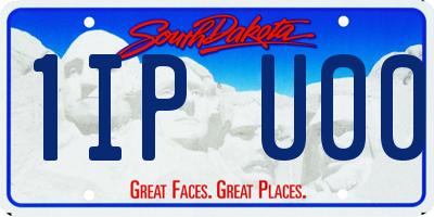 SD license plate 1IPU00