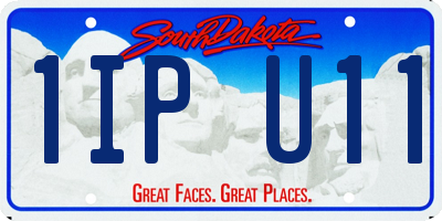 SD license plate 1IPU11