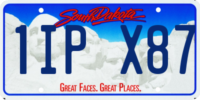 SD license plate 1IPX87