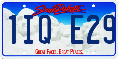 SD license plate 1IQE29