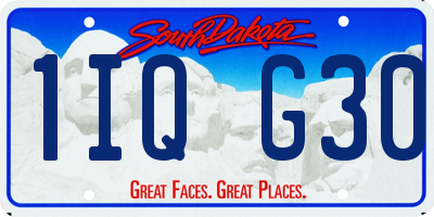 SD license plate 1IQG30