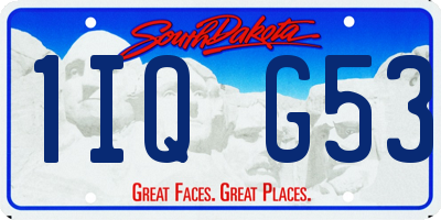 SD license plate 1IQG53