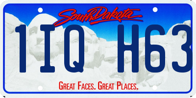 SD license plate 1IQH63