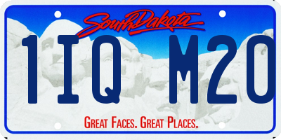 SD license plate 1IQM20