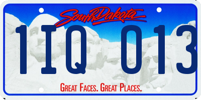 SD license plate 1IQO13