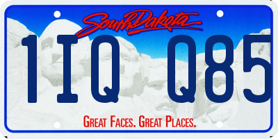 SD license plate 1IQQ85