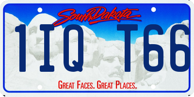 SD license plate 1IQT66
