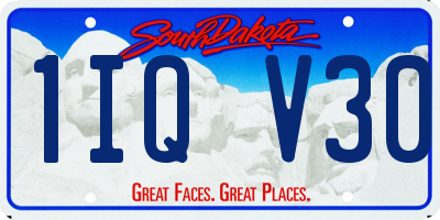 SD license plate 1IQV30