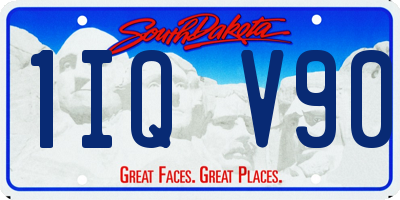 SD license plate 1IQV90