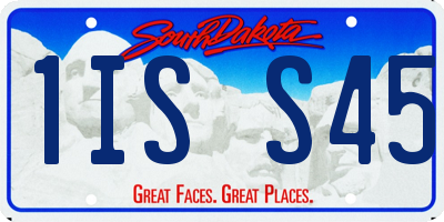 SD license plate 1ISS45