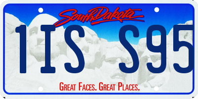 SD license plate 1ISS95