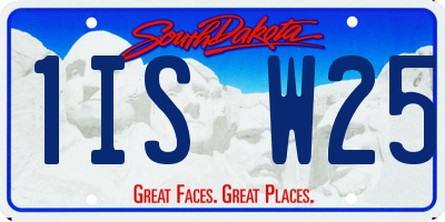 SD license plate 1ISW25