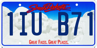SD license plate 1IUB71