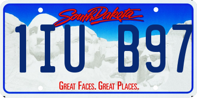 SD license plate 1IUB97