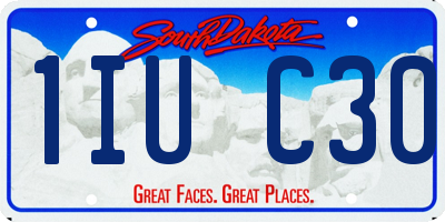 SD license plate 1IUC30