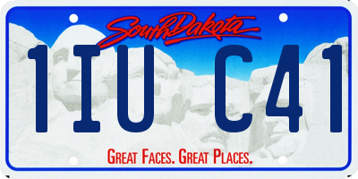 SD license plate 1IUC41