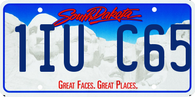 SD license plate 1IUC65