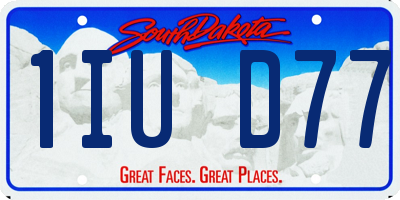 SD license plate 1IUD77