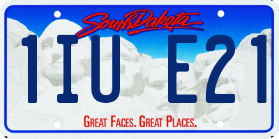SD license plate 1IUE21