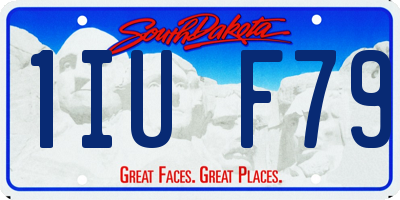 SD license plate 1IUF79