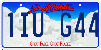 SD license plate 1IUG44