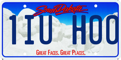 SD license plate 1IUH00