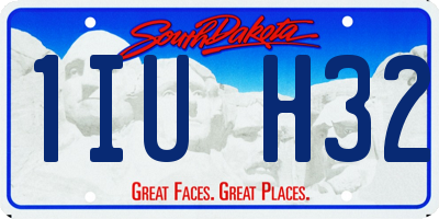 SD license plate 1IUH32