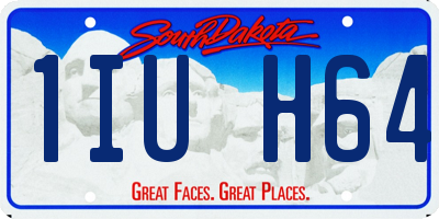 SD license plate 1IUH64