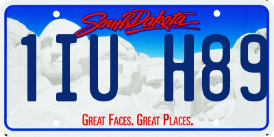 SD license plate 1IUH89