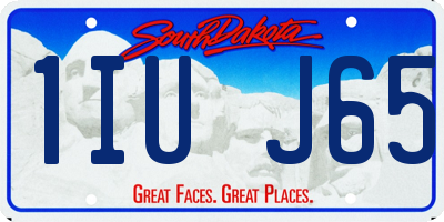 SD license plate 1IUJ65