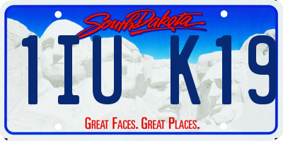 SD license plate 1IUK19