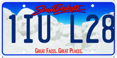 SD license plate 1IUL28