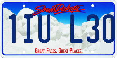 SD license plate 1IUL30