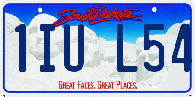 SD license plate 1IUL54