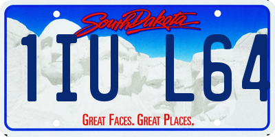SD license plate 1IUL64