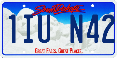 SD license plate 1IUN42