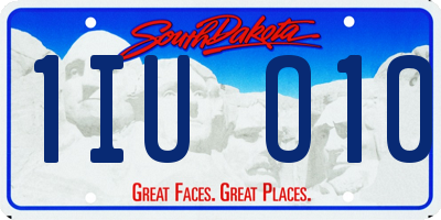 SD license plate 1IUO10