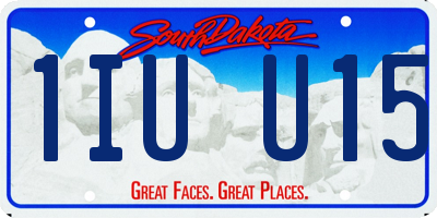 SD license plate 1IUU15
