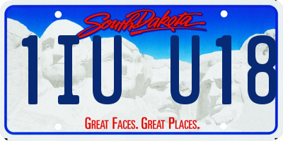 SD license plate 1IUU18
