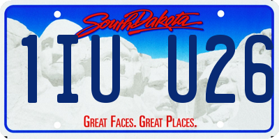 SD license plate 1IUU26