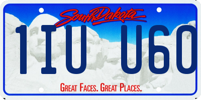 SD license plate 1IUU60