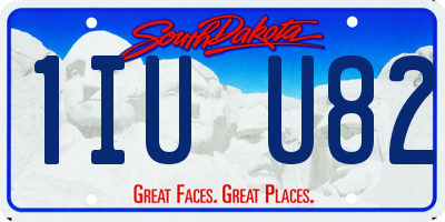 SD license plate 1IUU82
