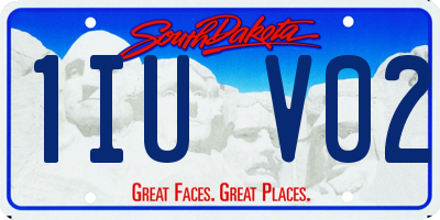 SD license plate 1IUV02