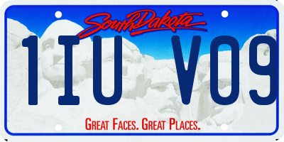 SD license plate 1IUV09