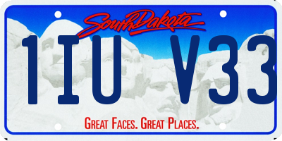 SD license plate 1IUV33