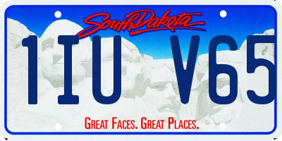SD license plate 1IUV65